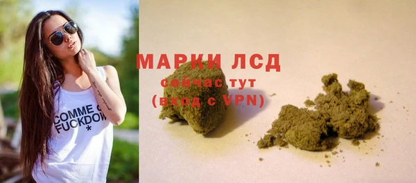 прущие грибы Снежинск