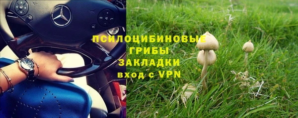 первитин Белоозёрский
