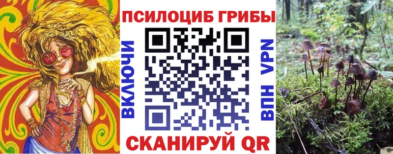 Галлюциногенные грибы прущие грибы  закладки  Нарткала 